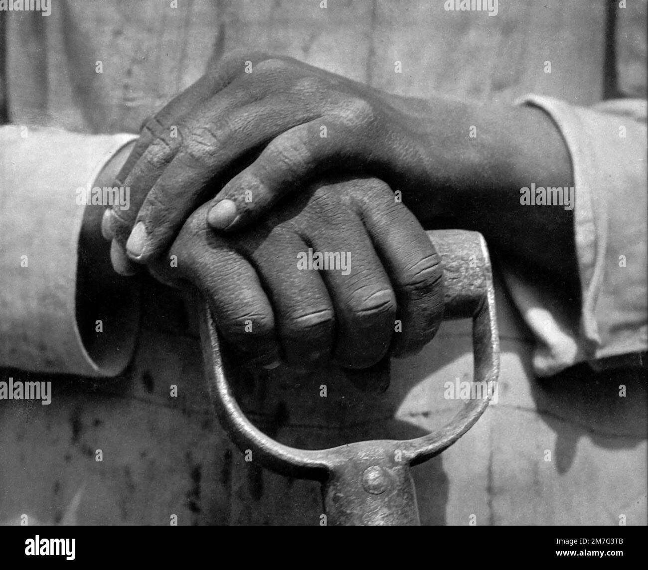 Workers Handds by the American photographer, Tina Modotti (b. Assunta Adelaide Luigia Modotti Mondini, 1896-1942), 1927 Stock Photo