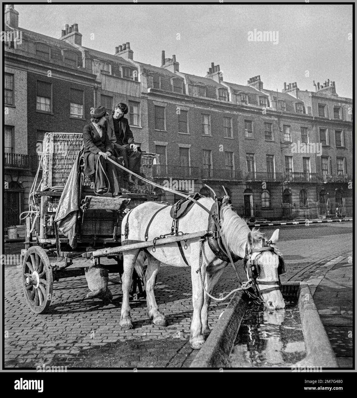 WW2 deliveries by horse drawn delivery van of the London, Midland and Scottish railway halted in a square in Bloomsbury during 1943 to allow the horse to get a drink at a dedicated horse trough, one of many dotted around London Stock Photo