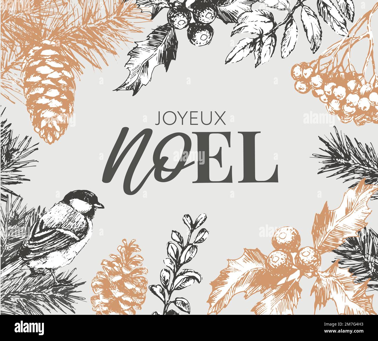 Joyeux Noel quote in French with ribbon, as logo or header. Translated  Merry Christmas. Celebration Lettering for poster, card, invitation Stock  Vector Image & Art - Alamy