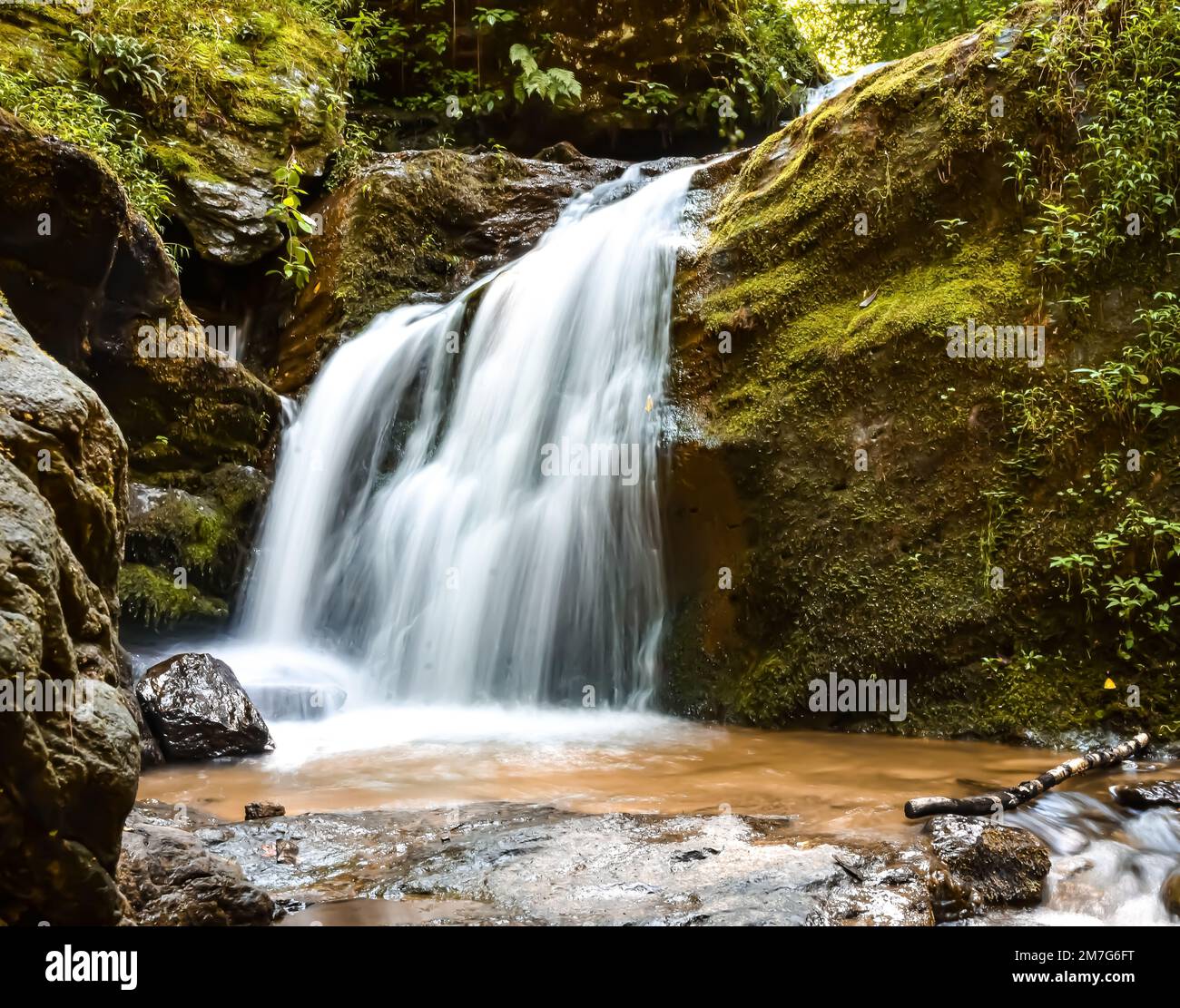 A scenic shot of a waterfall streaming down in the forest Stock Photo ...