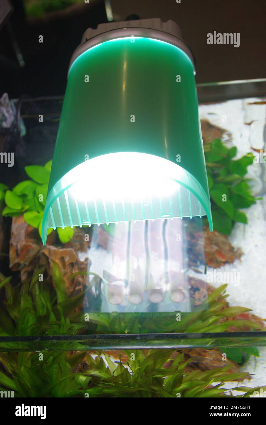 Aquarium lamp (artificial light Stock Photo Alamy