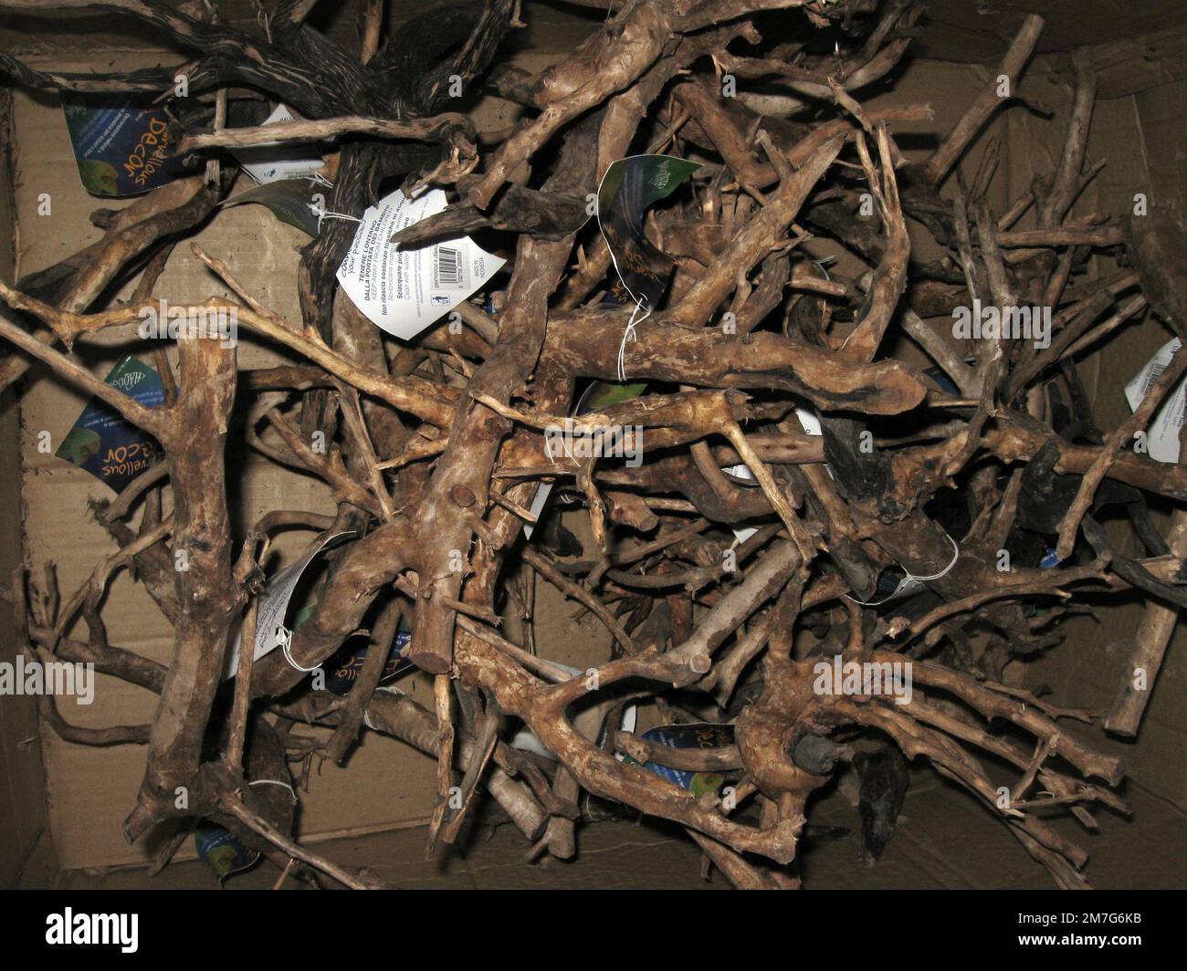 Aquarium ornement woods (mangrove roots Stock Photo Alamy