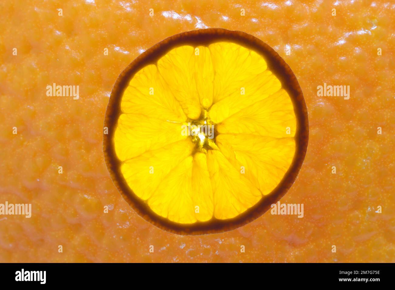 Orange peel plant hi-res stock photography and images - Alamy
