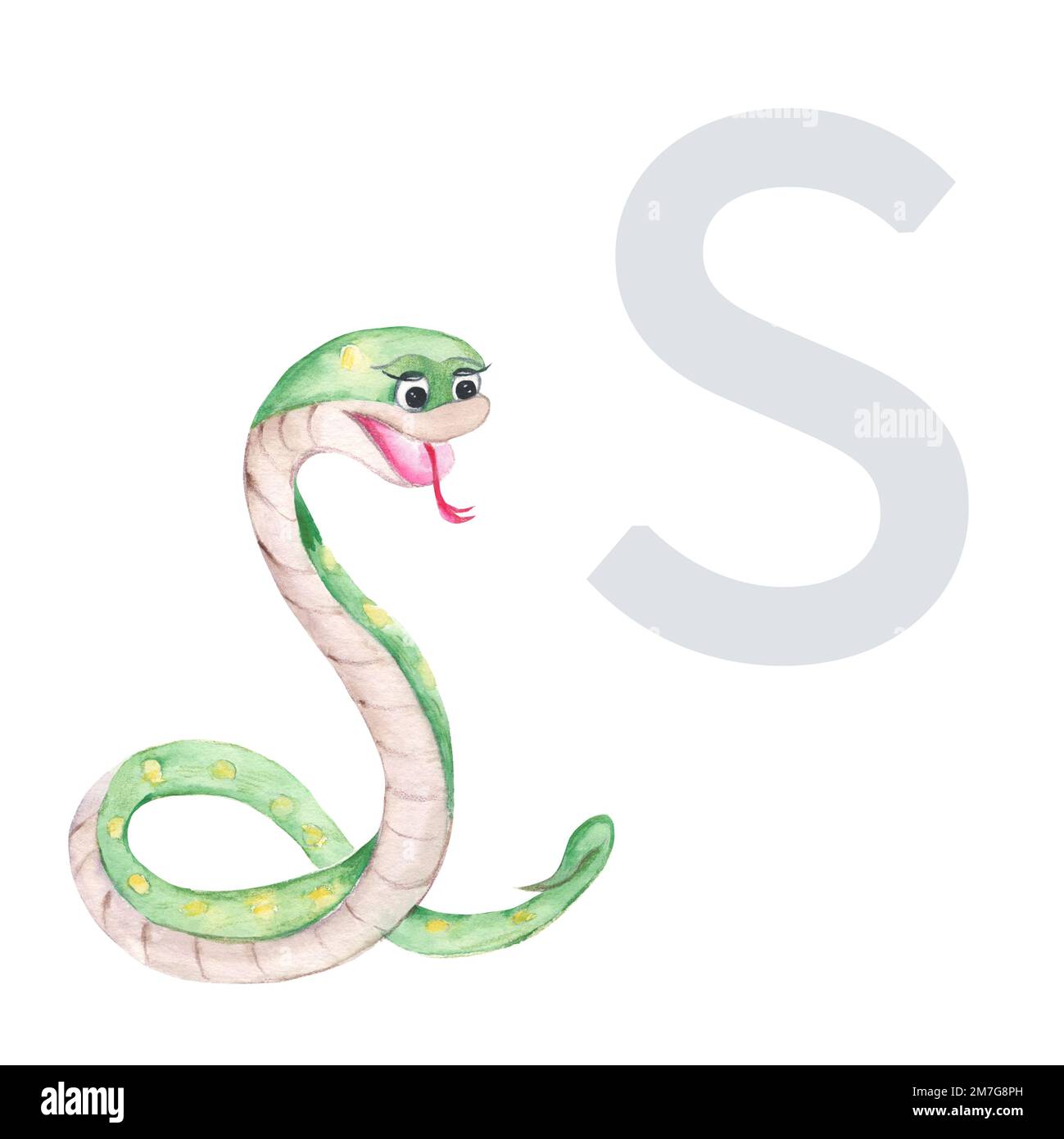 Letter S, snake, cute kids animal ABC alphabet. Watercolor illustration isolated on white background. Can be used for alphabet or cards for kids Stock Photo