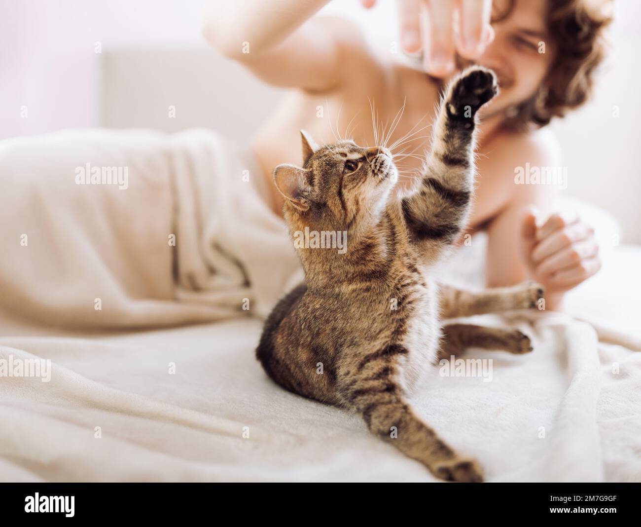 Young man playing with his small cat in bed Stock Photo