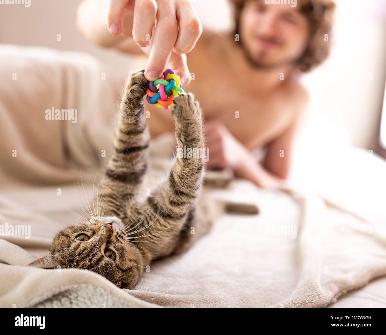 Young man playing with his small cat in bed Stock Photo