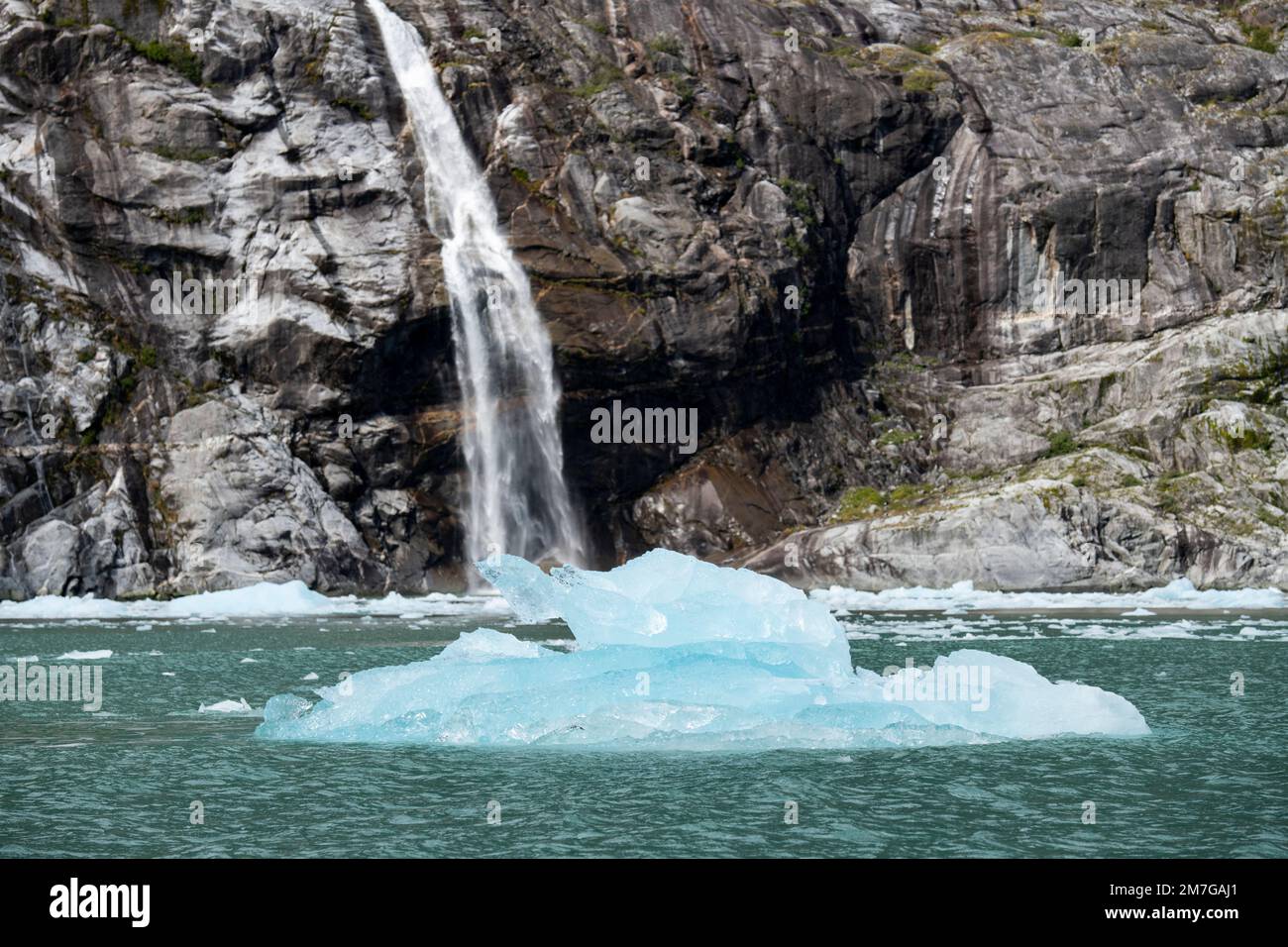 USA, Alaska, Stikine-LaConte Wilderness, LaConte Glacier. Iceberg in front of waterfall. Stock Photo