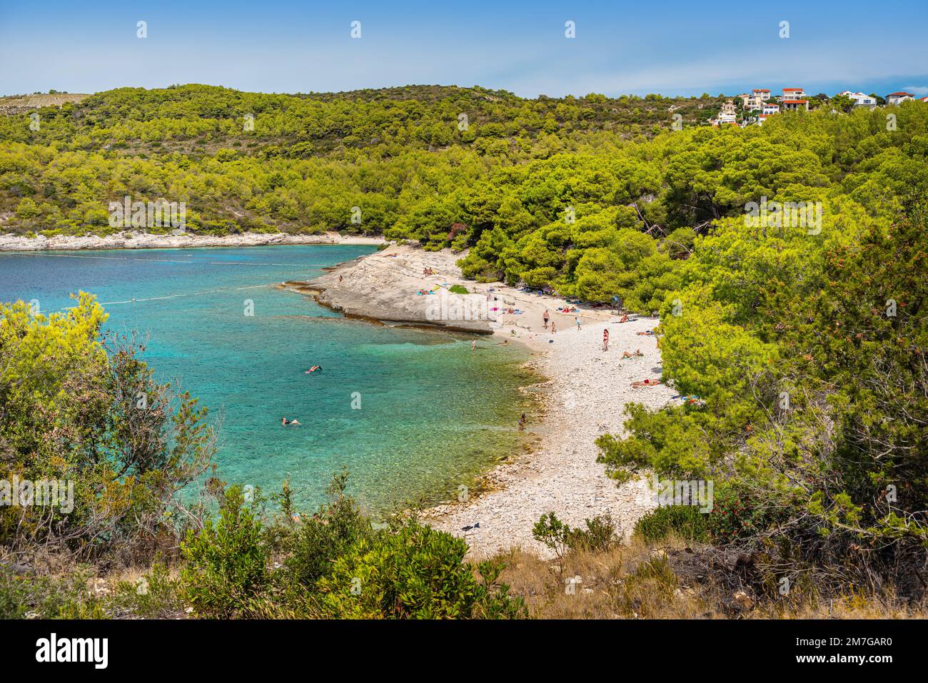 Srebrna vis hi-res stock photography and images - Alamy