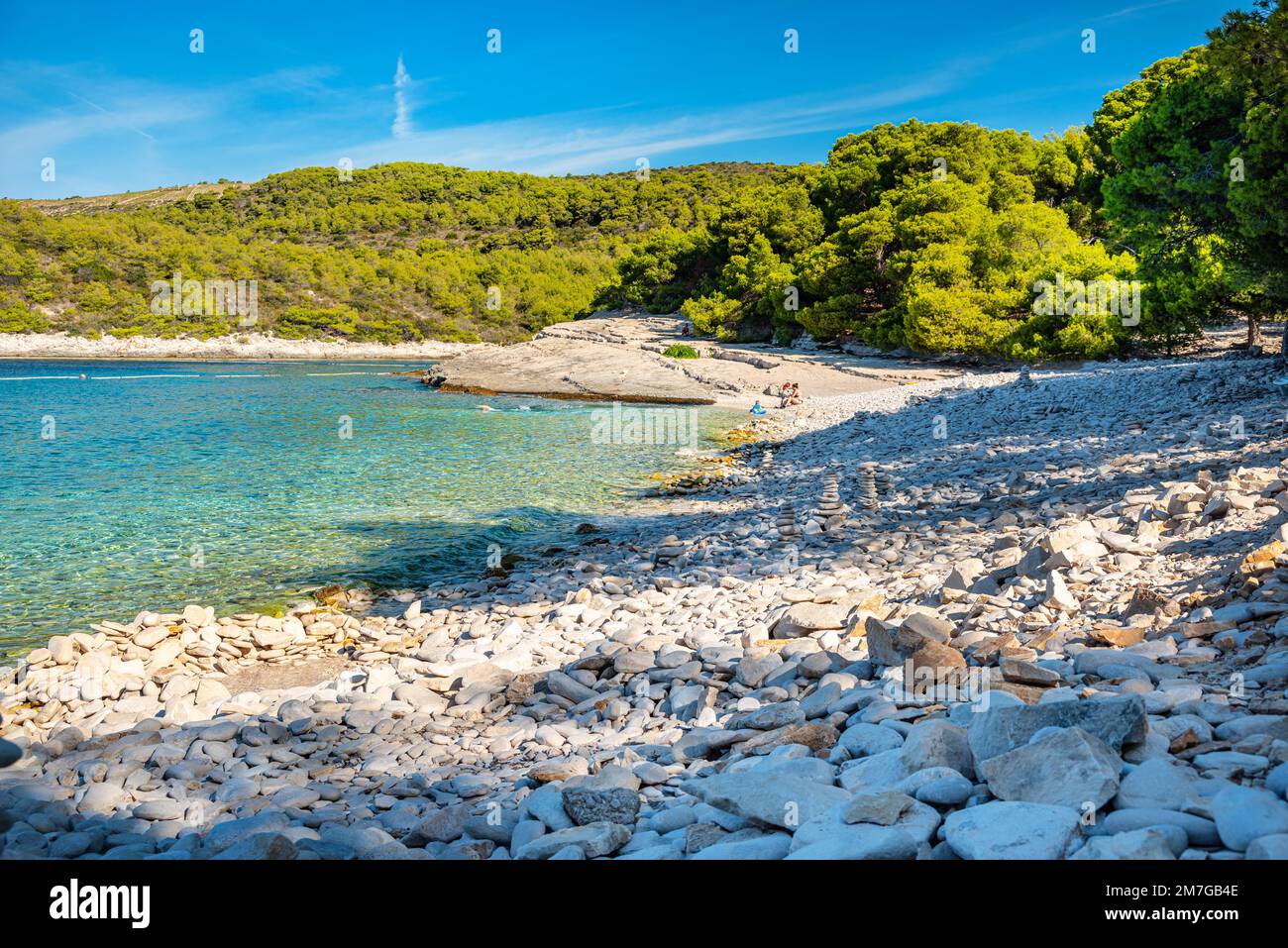 Srebrna vis hi-res stock photography and images - Alamy
