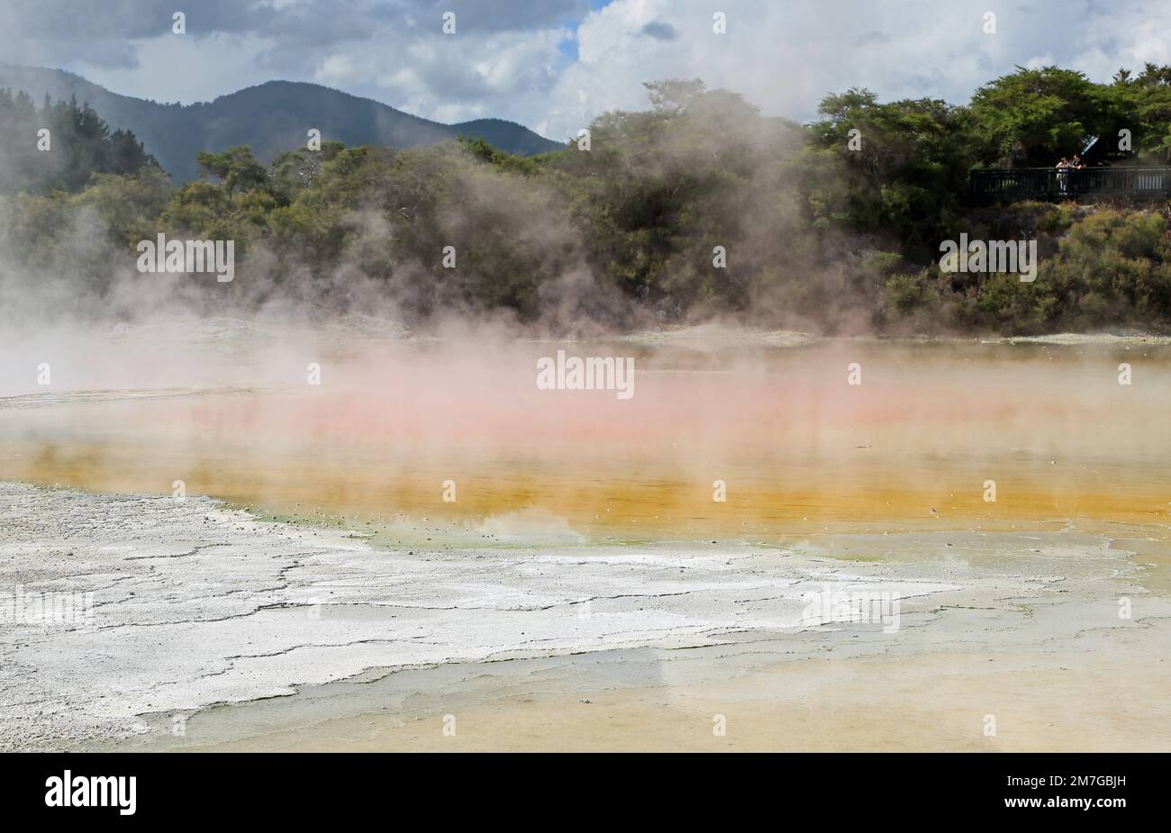 Vapor over Champagne Pool - New Zealand Stock Photo