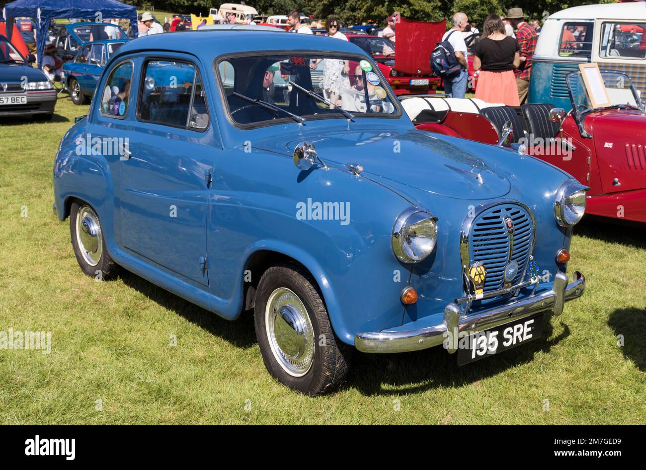 1957 Austin A35 at a classic car show in the Gnoll Country Park, Neath Port Talbot, Wales, UK Stock Photo