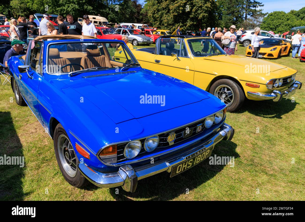 Triumph Stags at a classic car show in the Gnoll Country Park, Neath Port Talbot, Wales, UK Stock Photo