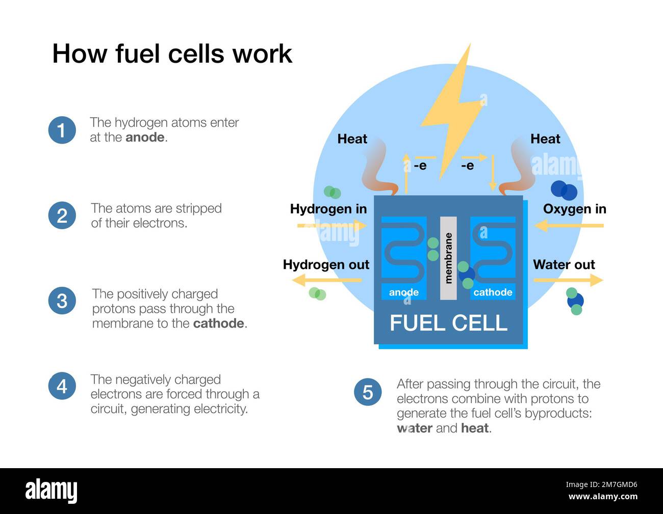 How fuel cells work to produce electricity from hydrogen and air Stock