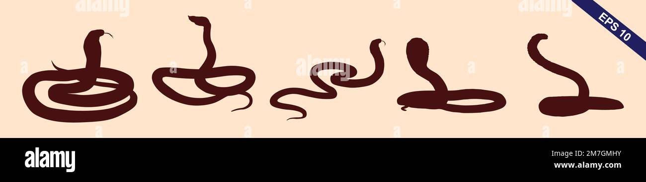 snakes illustrations vector design elements for designers 2M7GMHY