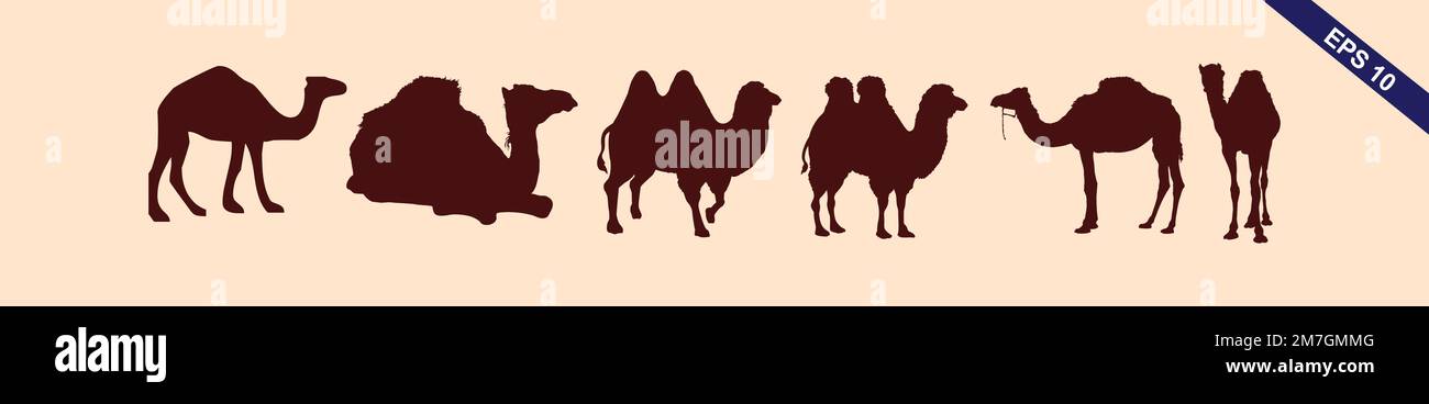 Camel Silhouettes. Vector Image in brown Stock Vector