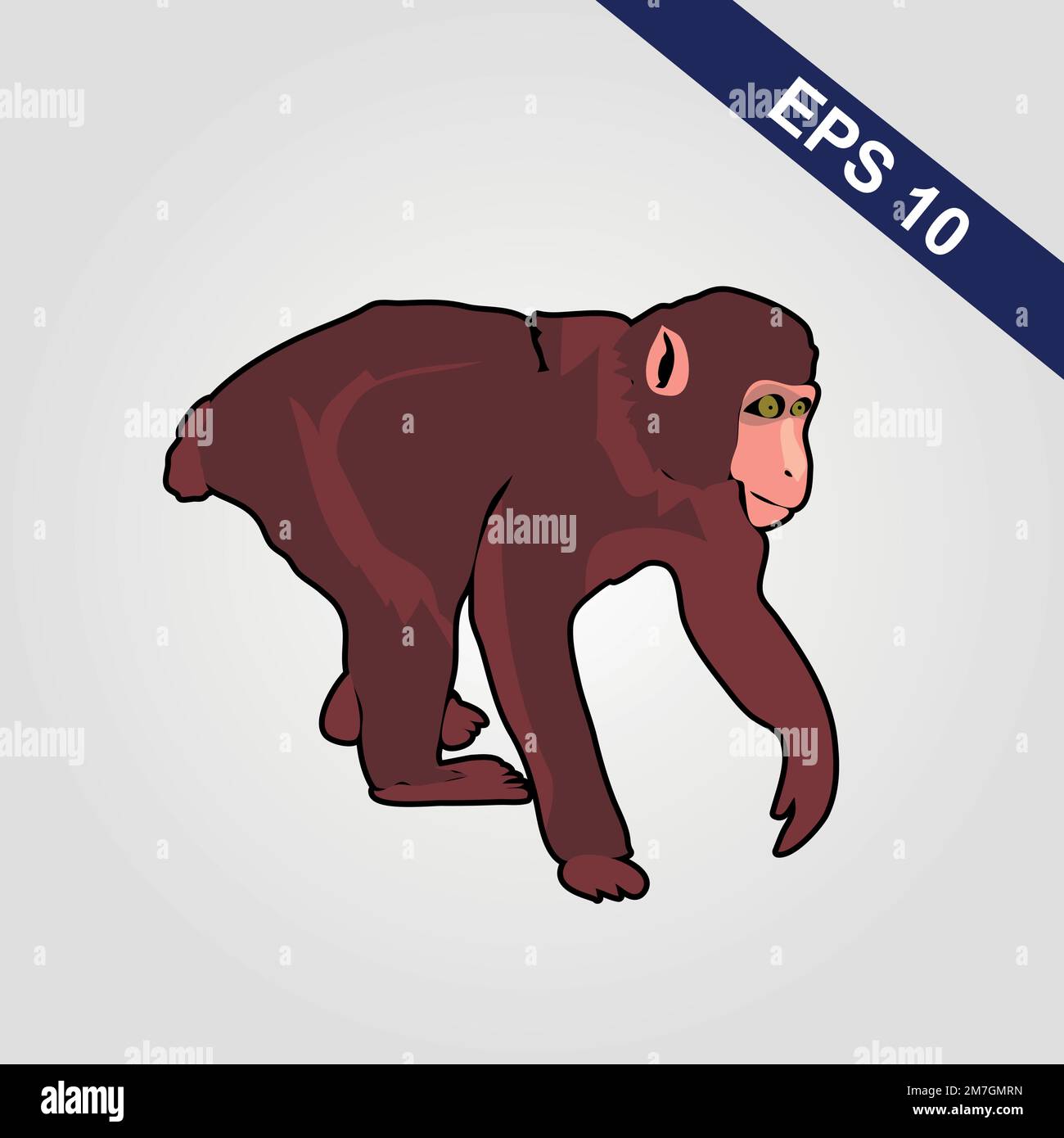 Cute monkey icon. Vector illustration isolated on a grey background ...