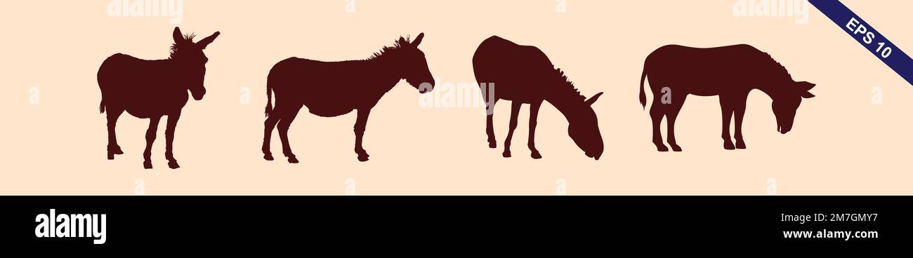 A set of detailed high quality donkey farm animal silhouettes Stock Vector