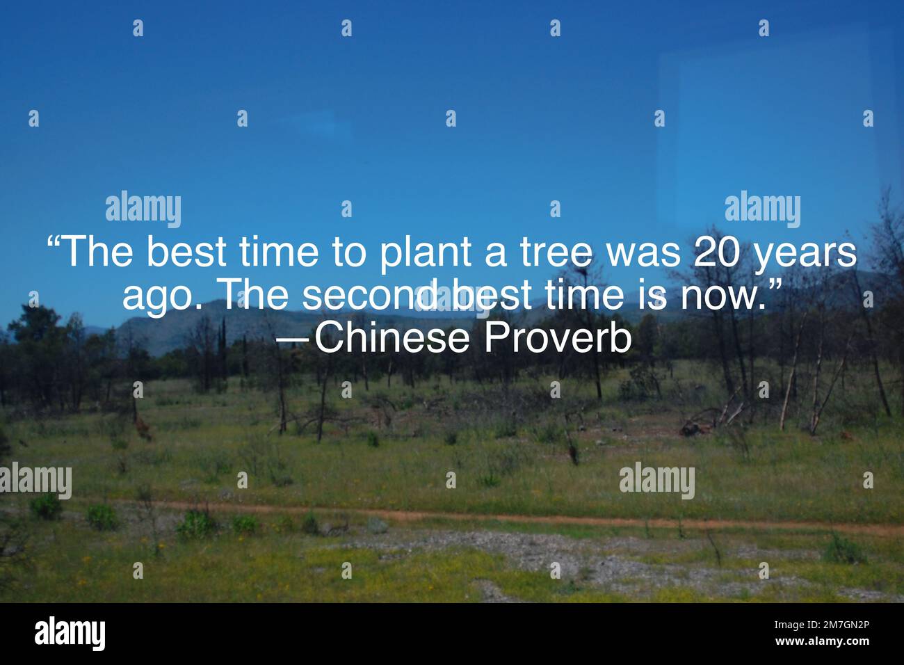 “The best time to plant a tree was 20 years ago. The second best time