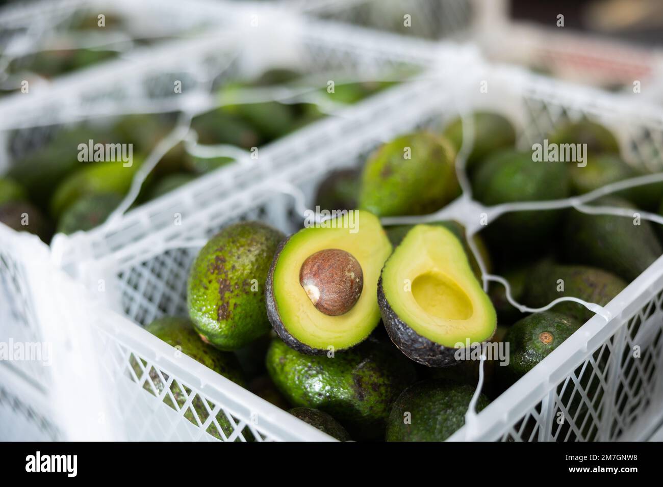 Two halves of ripe hass avocado on box with selected avocados Stock