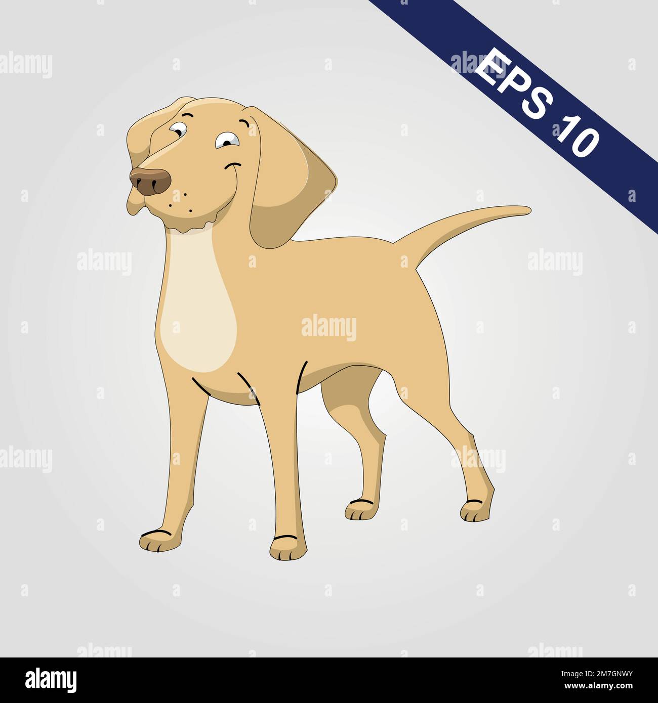 Labrador Retriever Colored Vector Illustration Stock Vector Image & Art Alamy