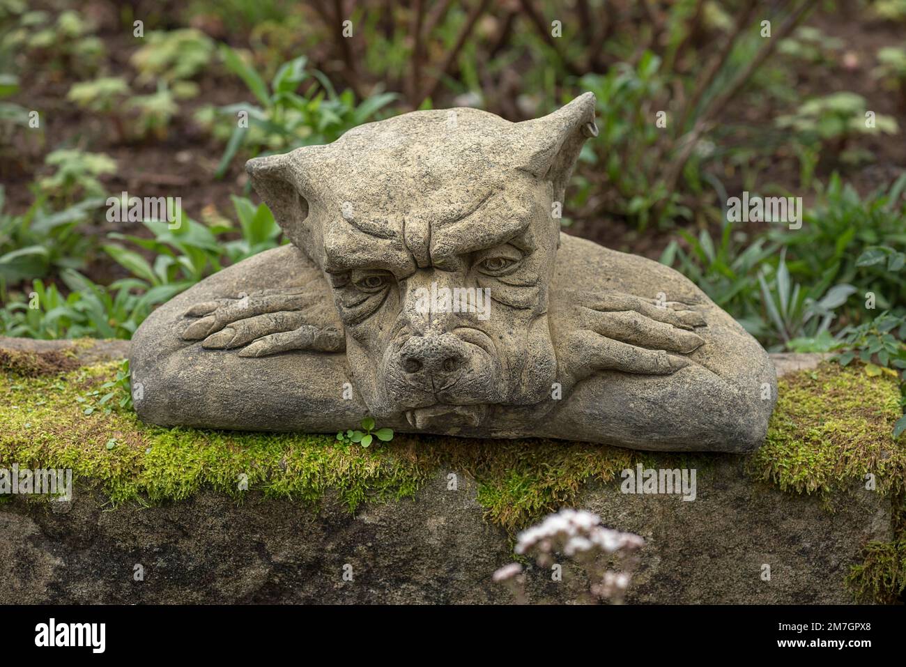 Grotesque ornament hi-res stock photography and images - Alamy