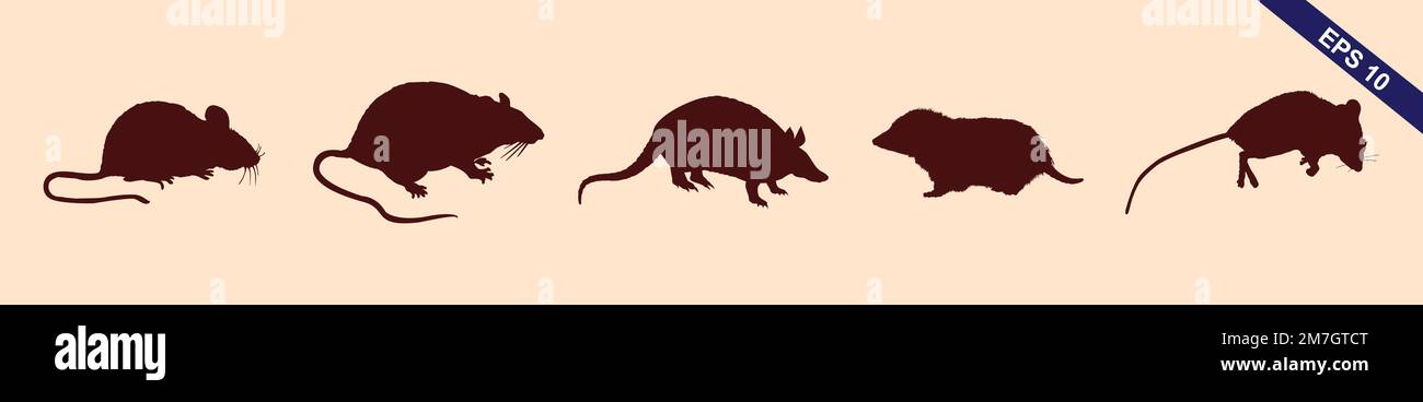 Rat and mouse collection - vector silhouette Stock Vector