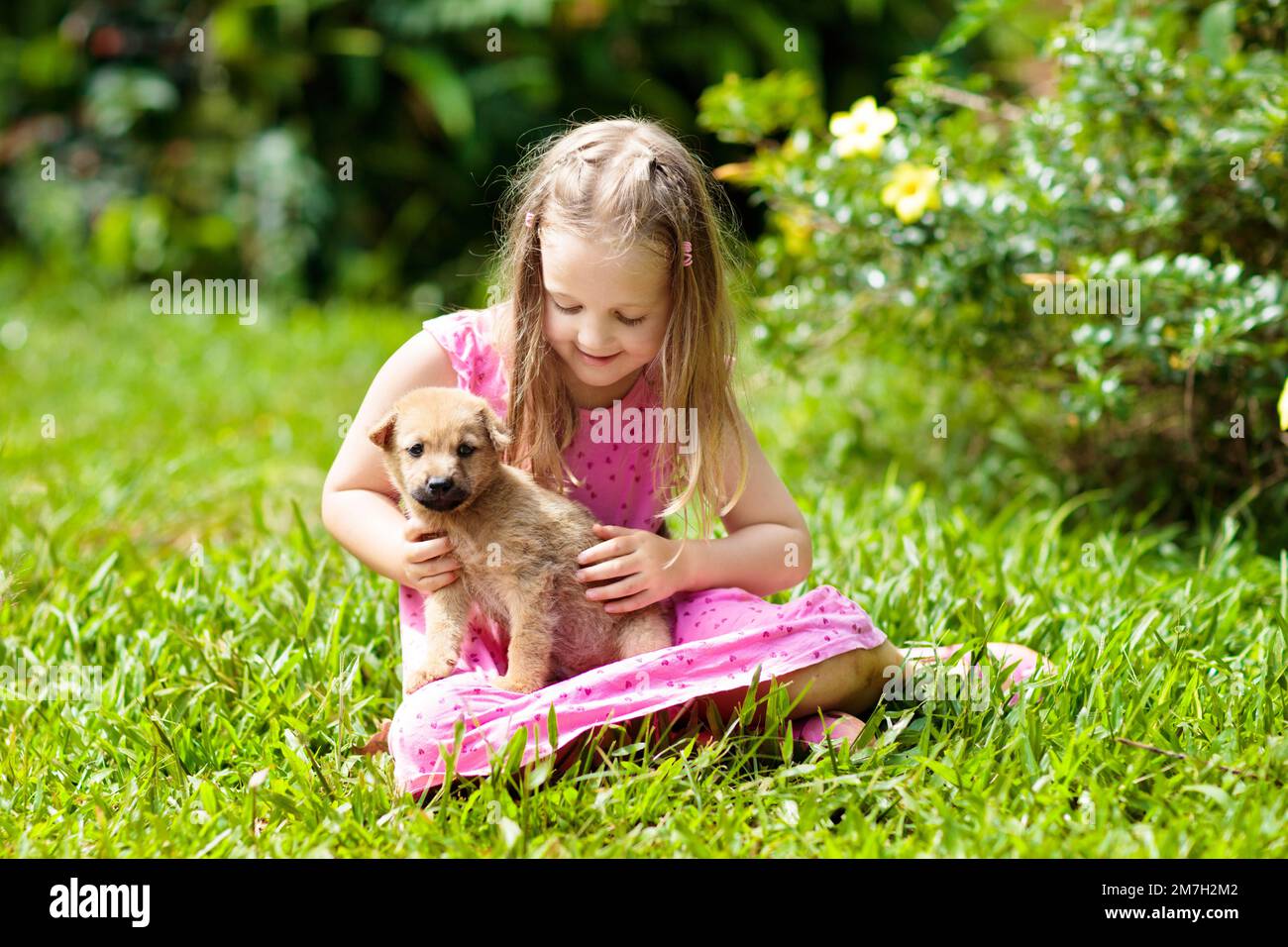 Kids play with cute little puppy. Children and baby dogs playing in sunny summer garden. Little girl holding puppies. Child with pet dog. Stock Photo