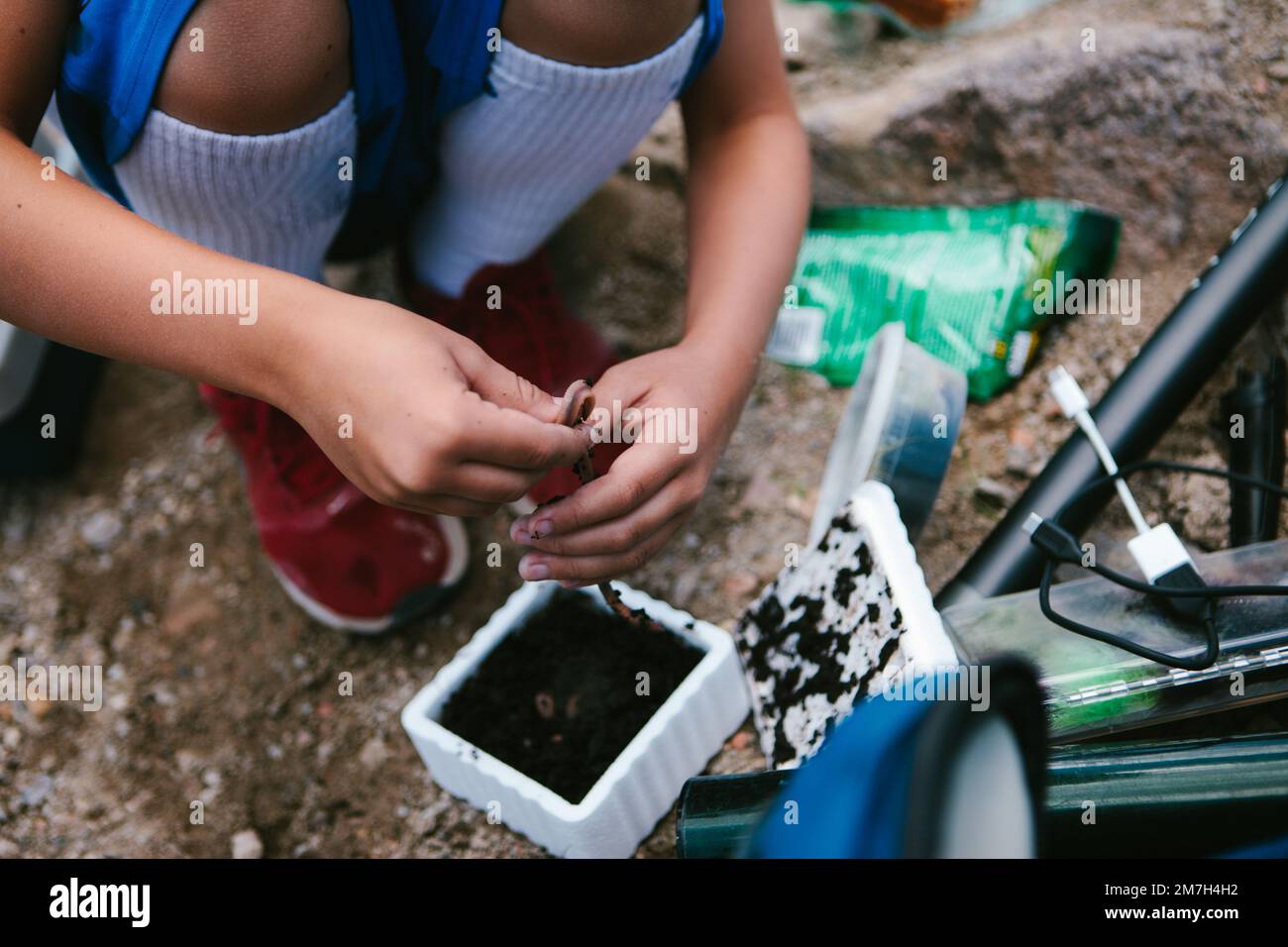 Boy gets worm as bait for a fishing adventure on vacation Stock Photo