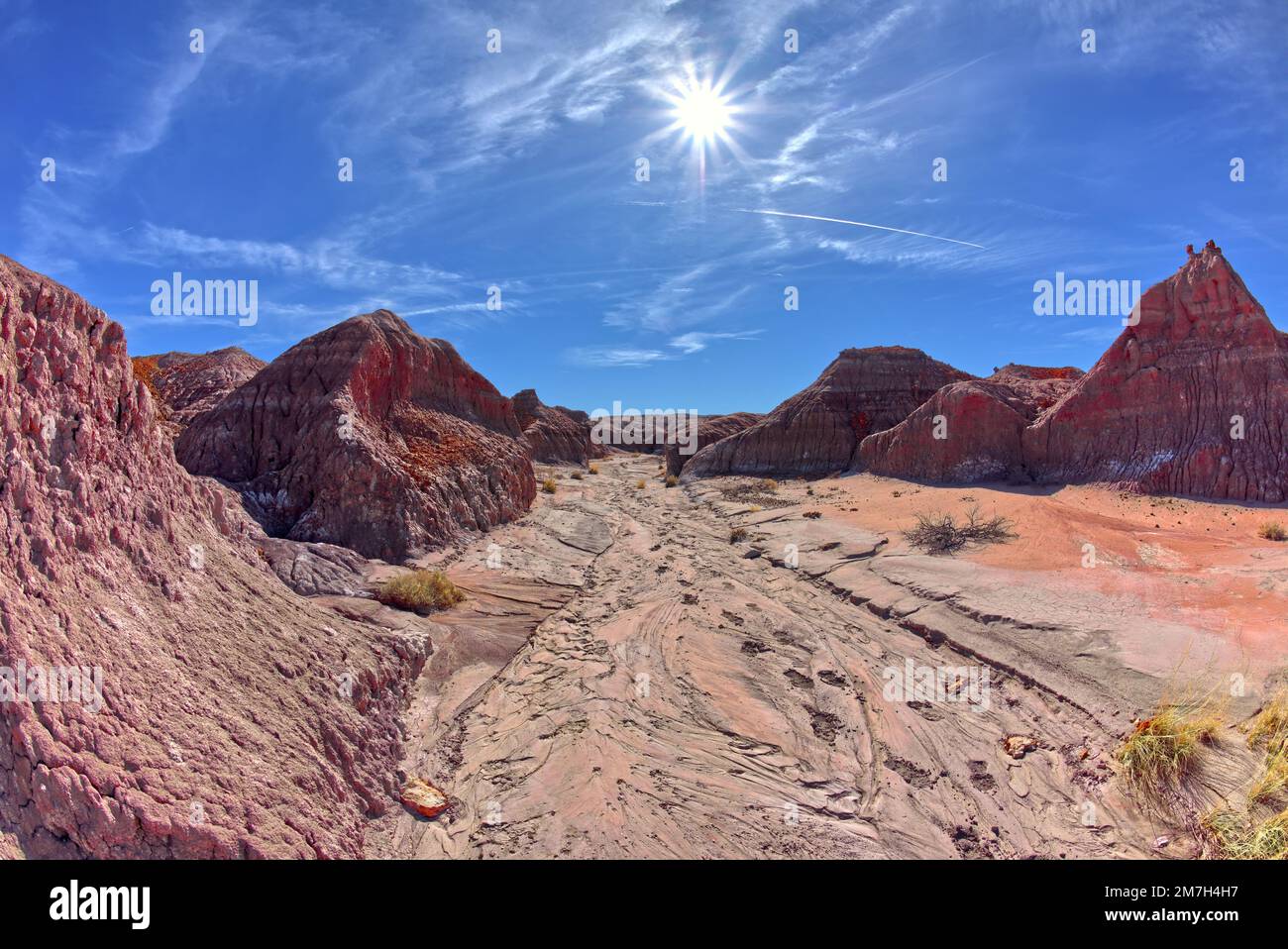 Red Creek at Petrified Forest AZ Stock Photo