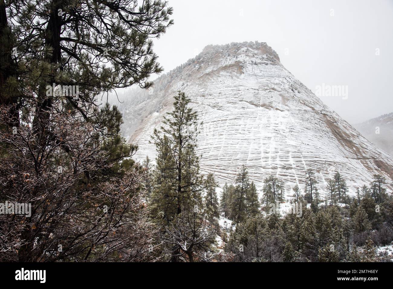 Checkerboard Mesa covered in snow, Zions National Park, Utah, USA. This is one of hundreds of geological features in the park. Stock Photo