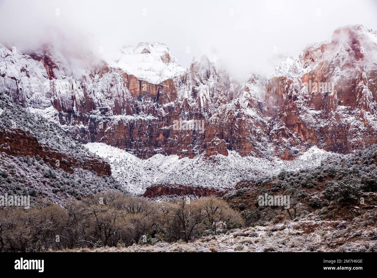 Winter snowfall in Zions National Park, Utah, USA. This magnificent