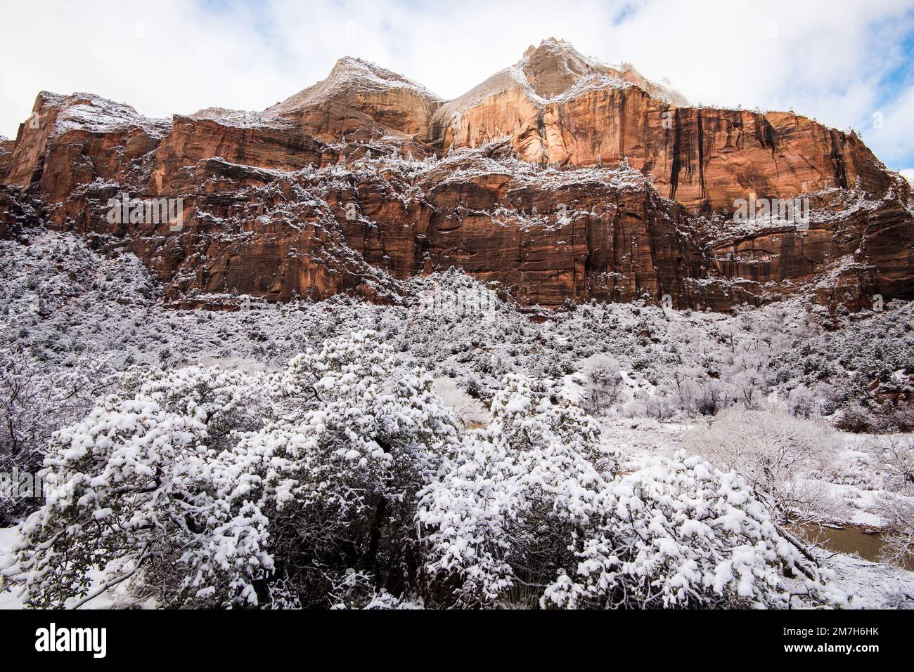 Winter snowfall in Zions National Park, Utah, USA.  This magnificent park is transformed into a winter wonderland after a heavy storm. Stock Photo
