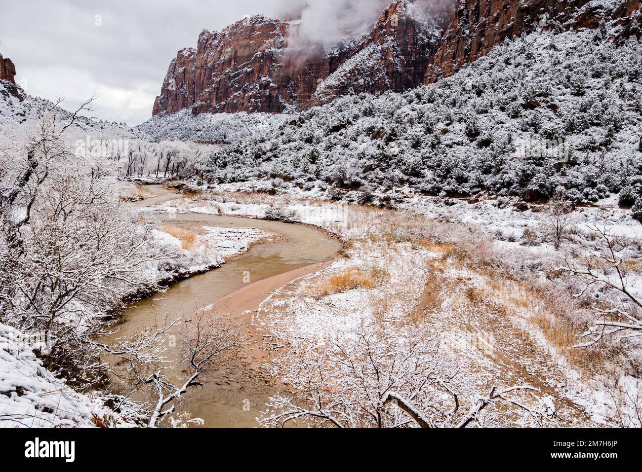 Winter snowfall in Zions National Park, Utah, USA. This magnificent
