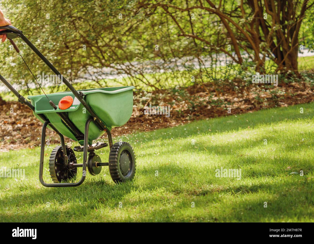 Fertilizing and seeding residential backyard lawn with manual grass