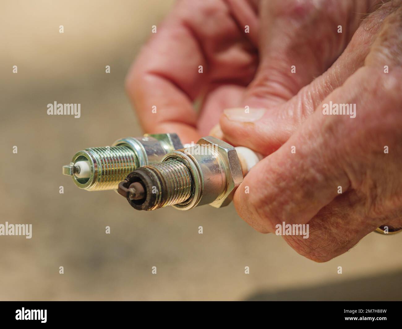 Mechanic holding new and used spark plugs. Replacing worn out