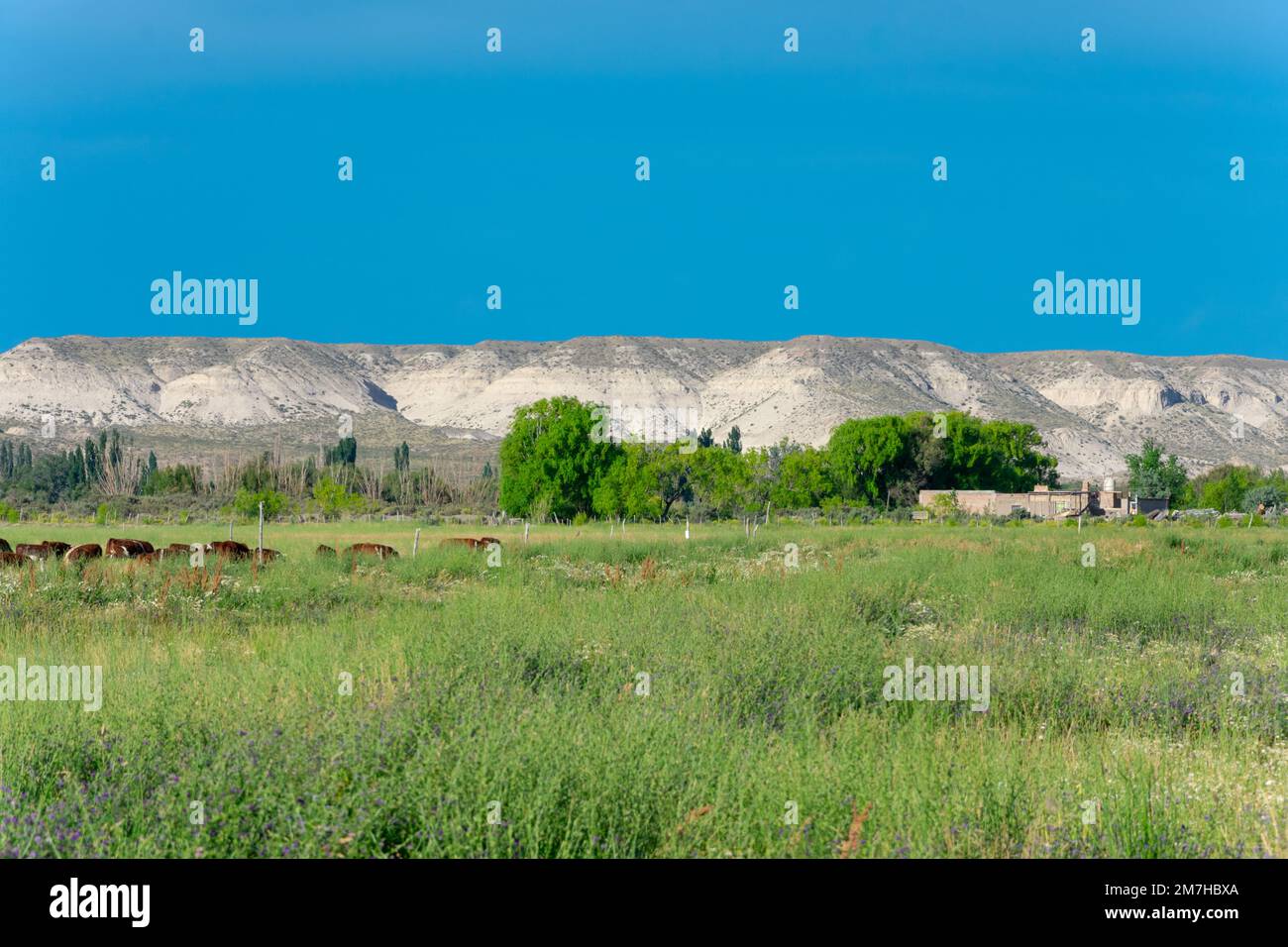 Countryside Landscape near Trelew. Province of Chubut, Argentina Stock Photo