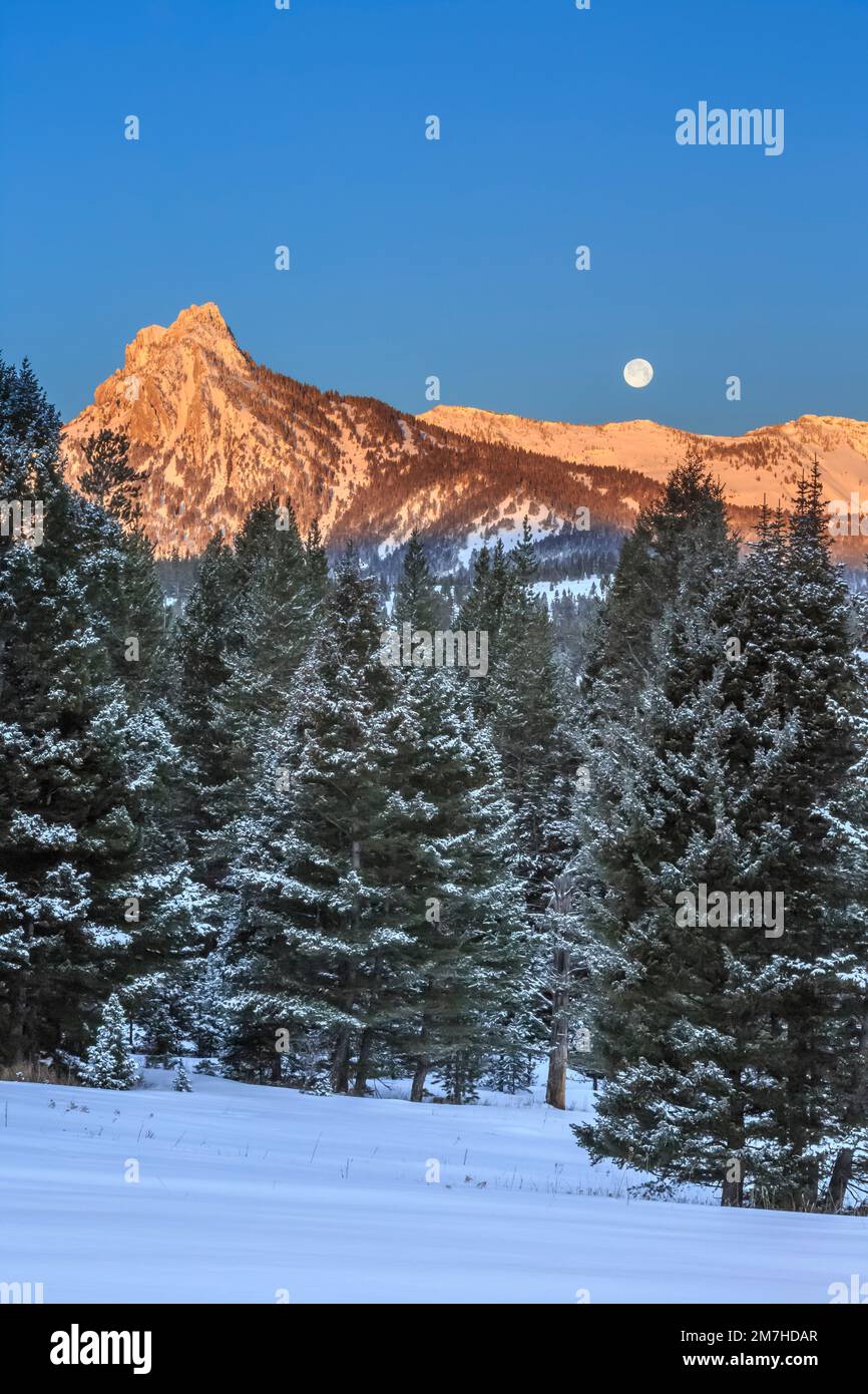 full moon setting over ross peak in the bridger mountains in winter