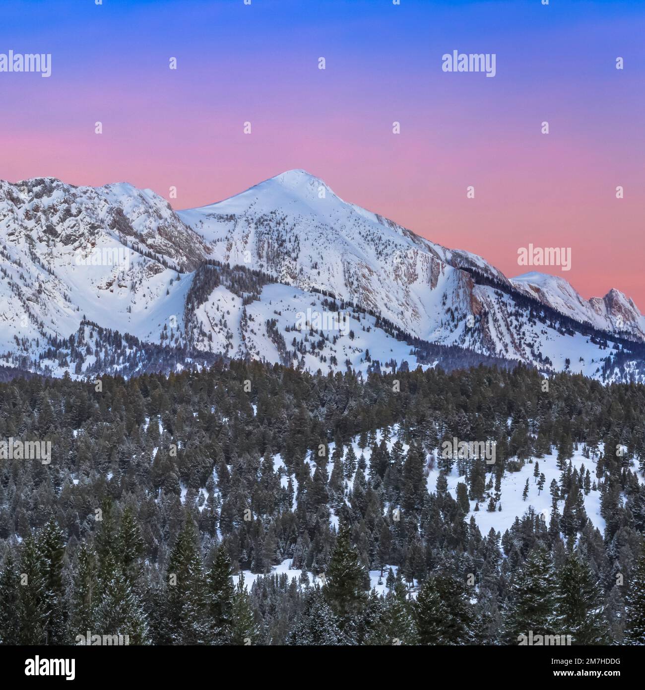 pre-dawn sky over sacagawea peak in winter in the bridger mountains ...
