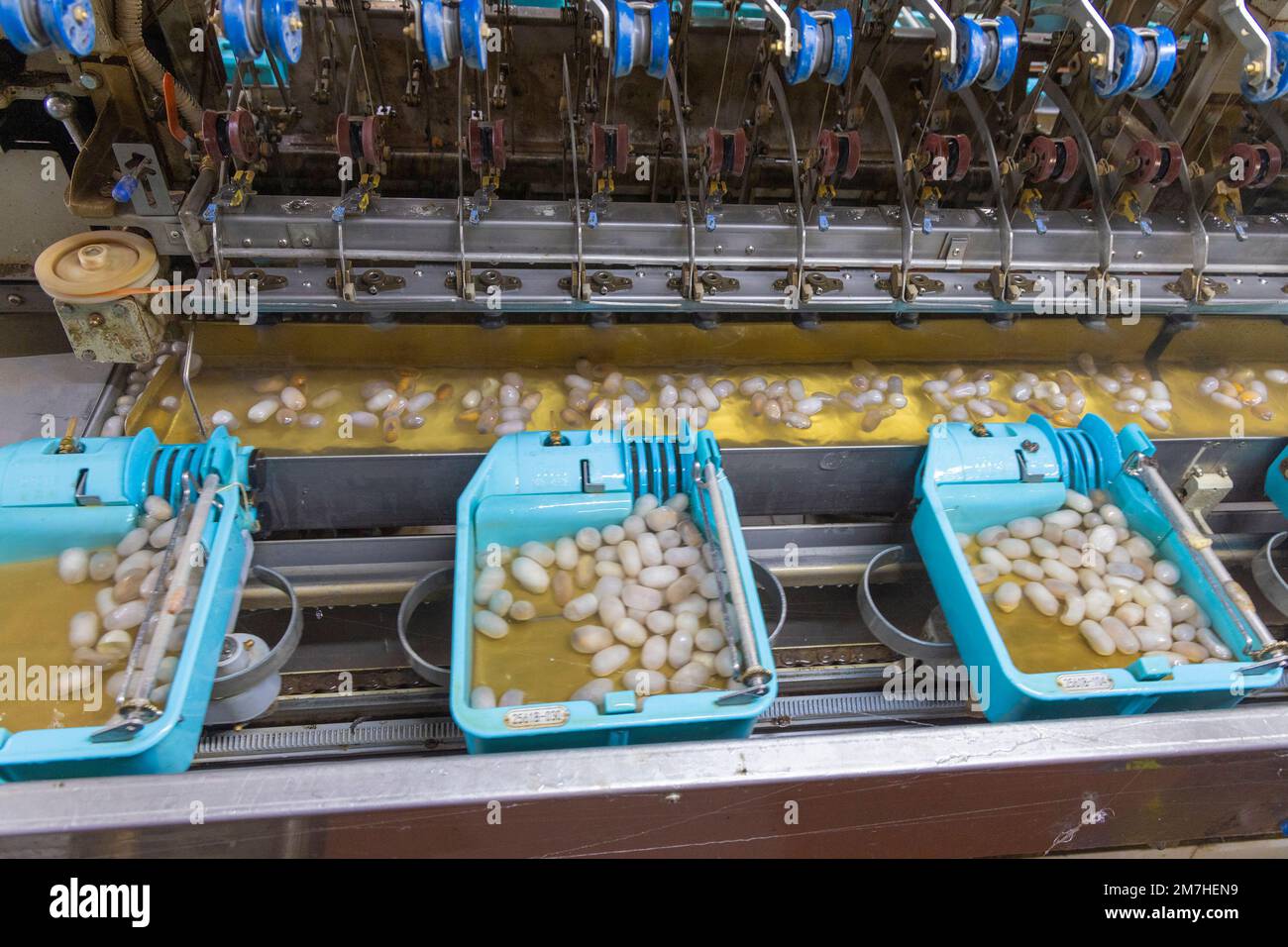 Silk factory in Da Lat, Vietnam Stock Photo
