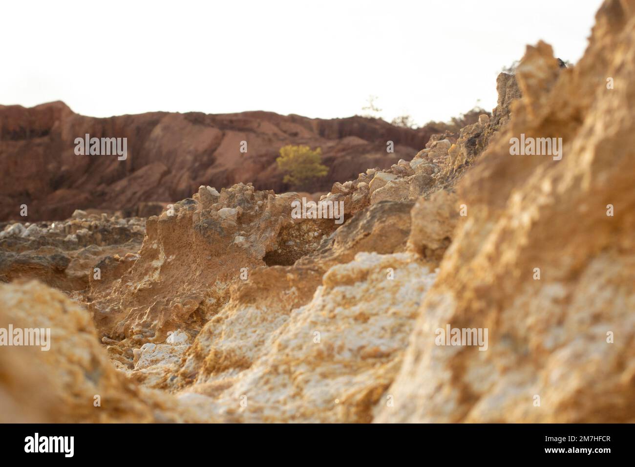 scene around the deserted land due to deforestation and earth mining. Stock Photo