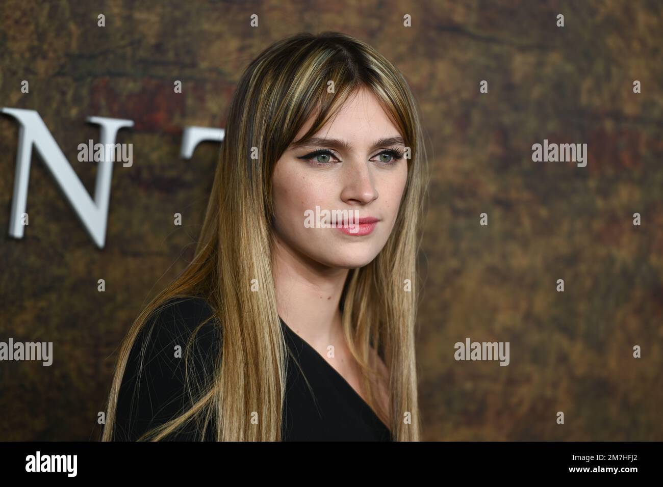 Nell Tiger Free Stock Photo - Alamy