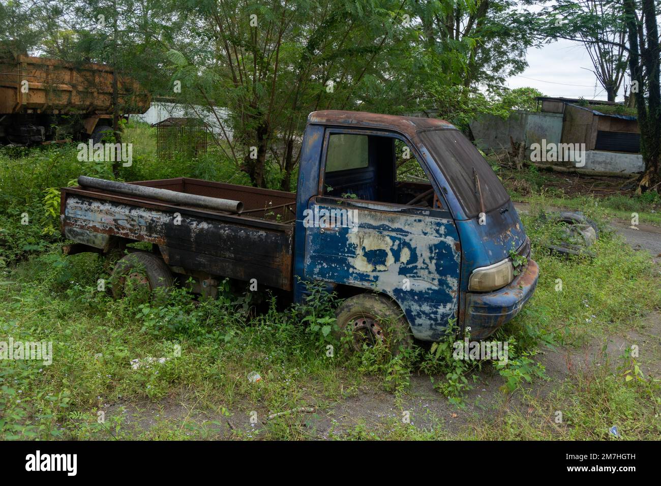 Abandoned broken trucks in the middle of nature covered in wild bushes close up Stock Photo