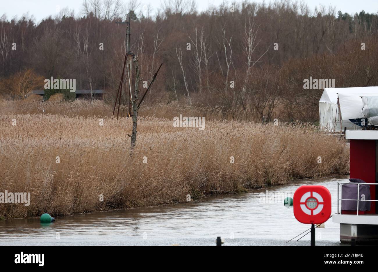 Barth, Germany. 05th Jan, 2023. On a wet area at the Barthe river reed