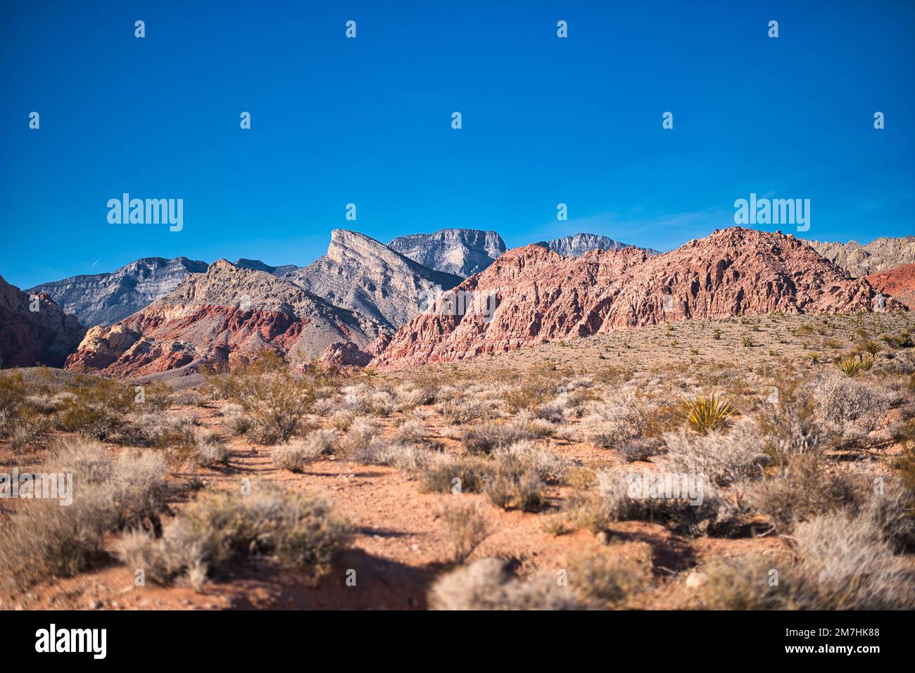 Las Vegas in December Stock Photo Alamy