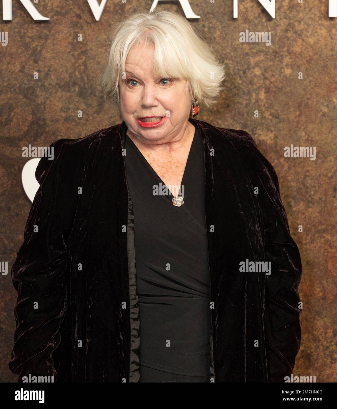 Denny Dillon attends Apple TV+'s "Servant" Season 4 New York Premiere at Walter Reade Theatre at Lincoln Center in New York on January 9, 2023 Stock Photo