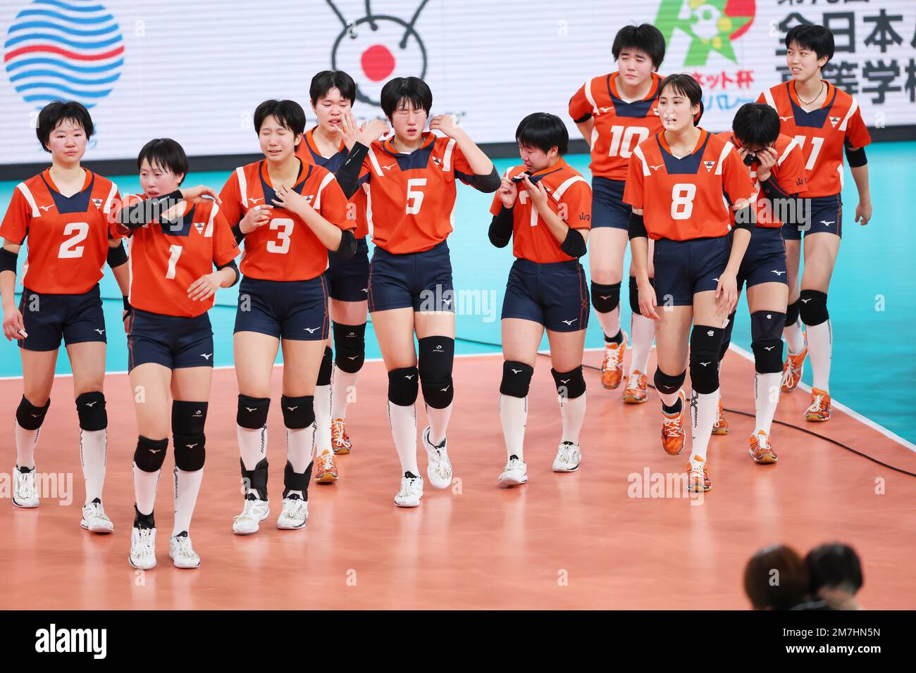 Japanese 2024 volleyball teams