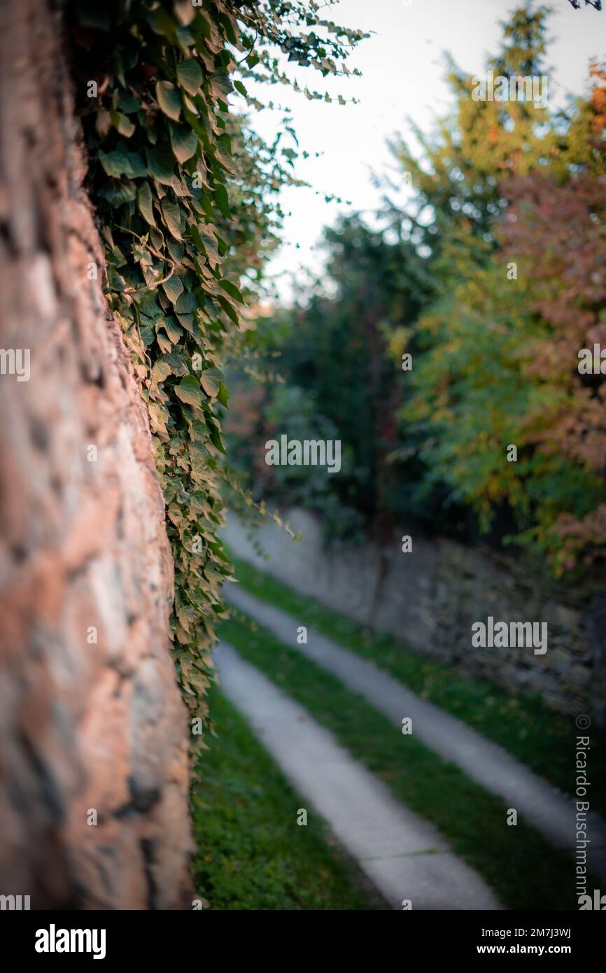 Landscape shot pathway forest hi-res stock photography and images - Alamy
