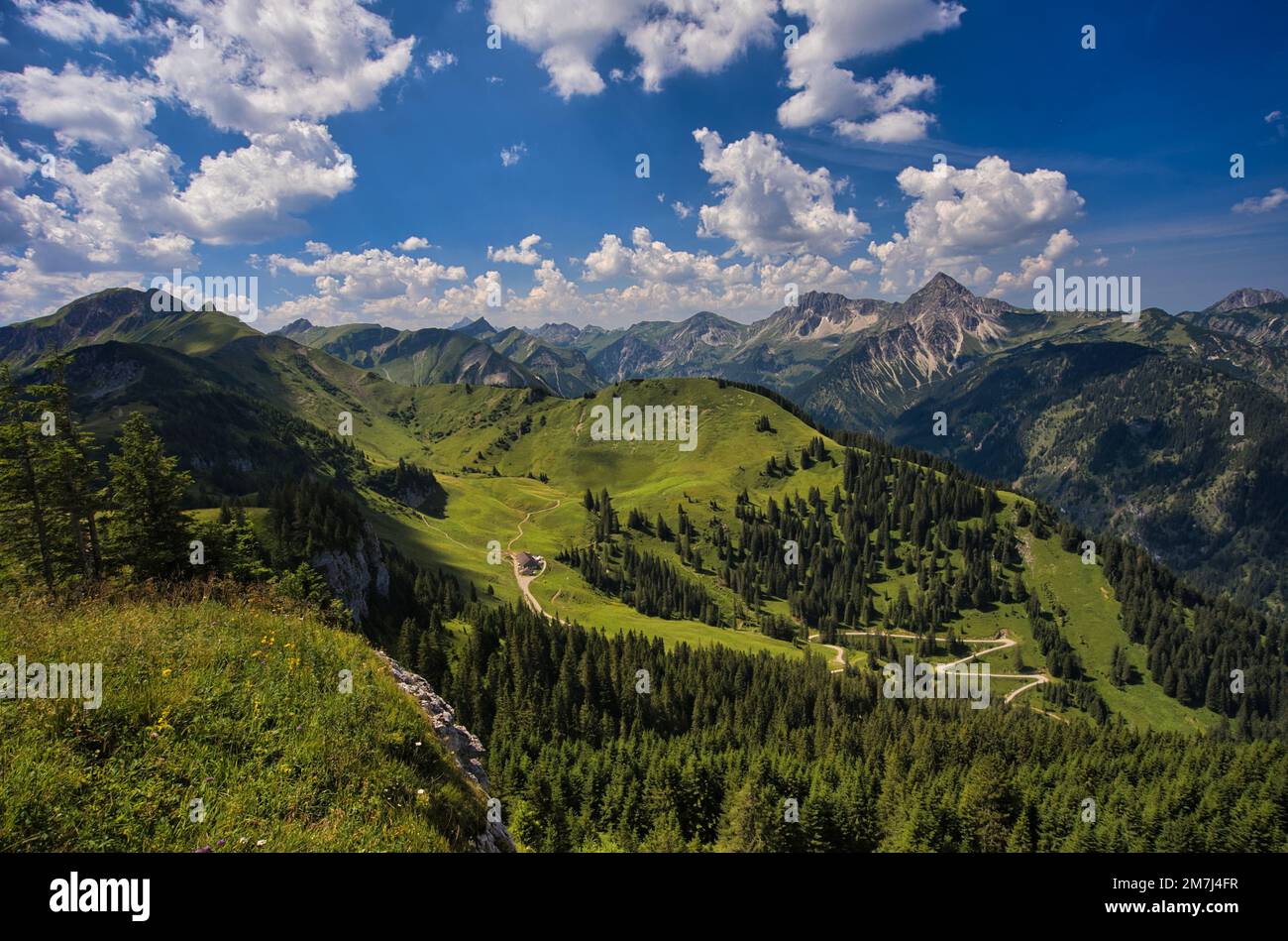 A bird's eye view of a mountain range covered with green forests under ...