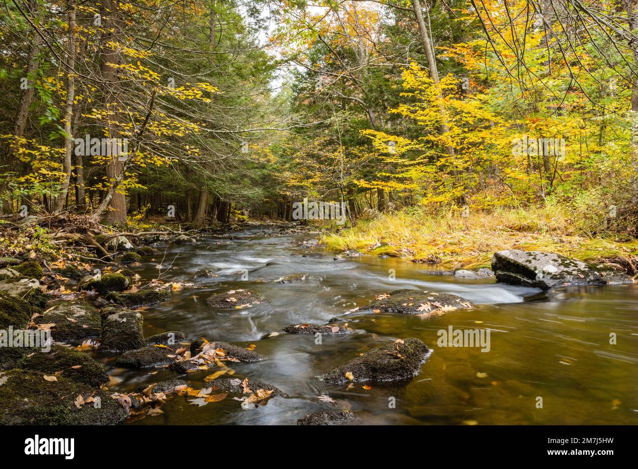 A beautiful shot of a flowing rocky river in Stokes State Forest in Sussex County, NJ Stock Photo