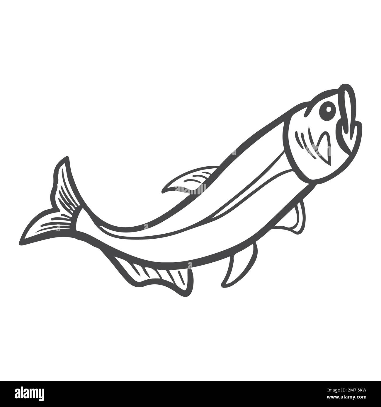 big trout fish animal in sea hand drawn sketch doodle illustration